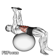 Weighted Overhead Crunch (on Stability Ball) GIF