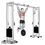 Weighted Pull-up GIF