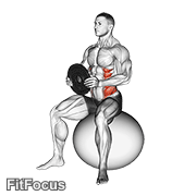 Weighted Seated Twist (on Stability Ball) GIF
