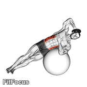Weighted Side Bend (on Stability Ball) GIF