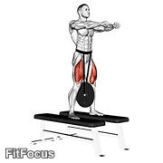 Weighted Squat GIF — animated legs exercise demonstration