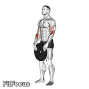 Weighted Standing Curl (standing weighted curl) GIF — animated arms exercise demonstration
