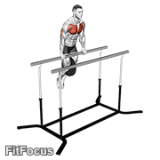 Weighted Straight Bar Dip GIF