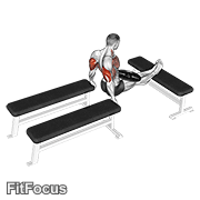 Weighted Three Bench Dips (weighted three bench dip) GIF — animated arms exercise demonstration