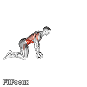Wheel Rollerout GIF — animated core exercise demonstration