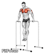 Wide-grip Chest Dip On High Parallel Bars GIF