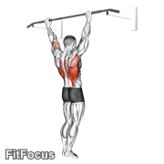 Wide Grip Rear Pull-up GIF
