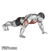 Wide Hand Push Up GIF
