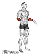 Wrist Circles GIF