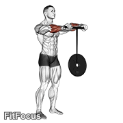 Wrist Rollerer GIF